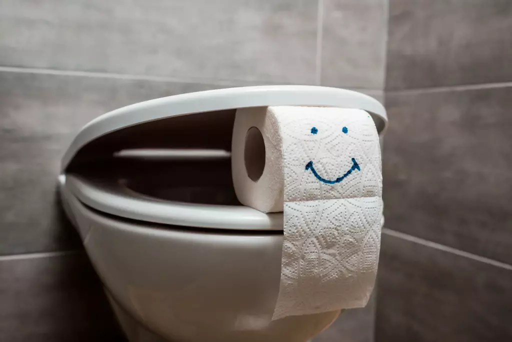 Toilettenpapier mit aufgemaltem Smiley zwischen Toilettensitz und Toilettendeckel geklemmt.