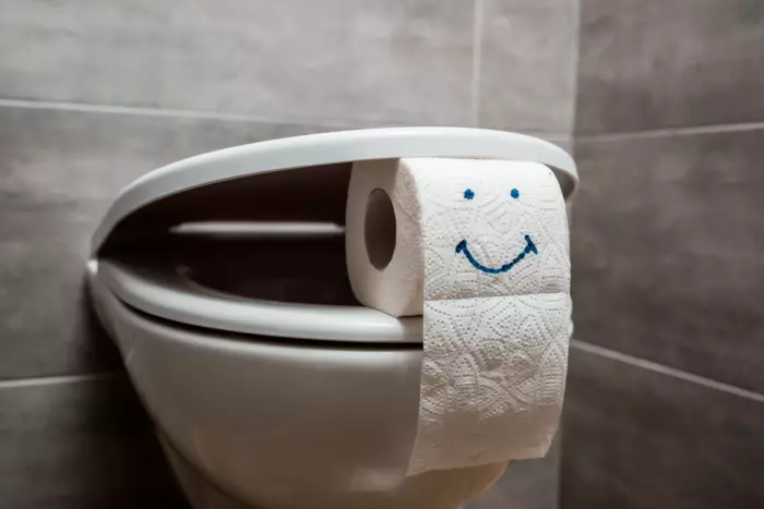 Toilettenpapier mit aufgemaltem Smiley zwischen Toilettensitz und Toilettendeckel geklemmt.